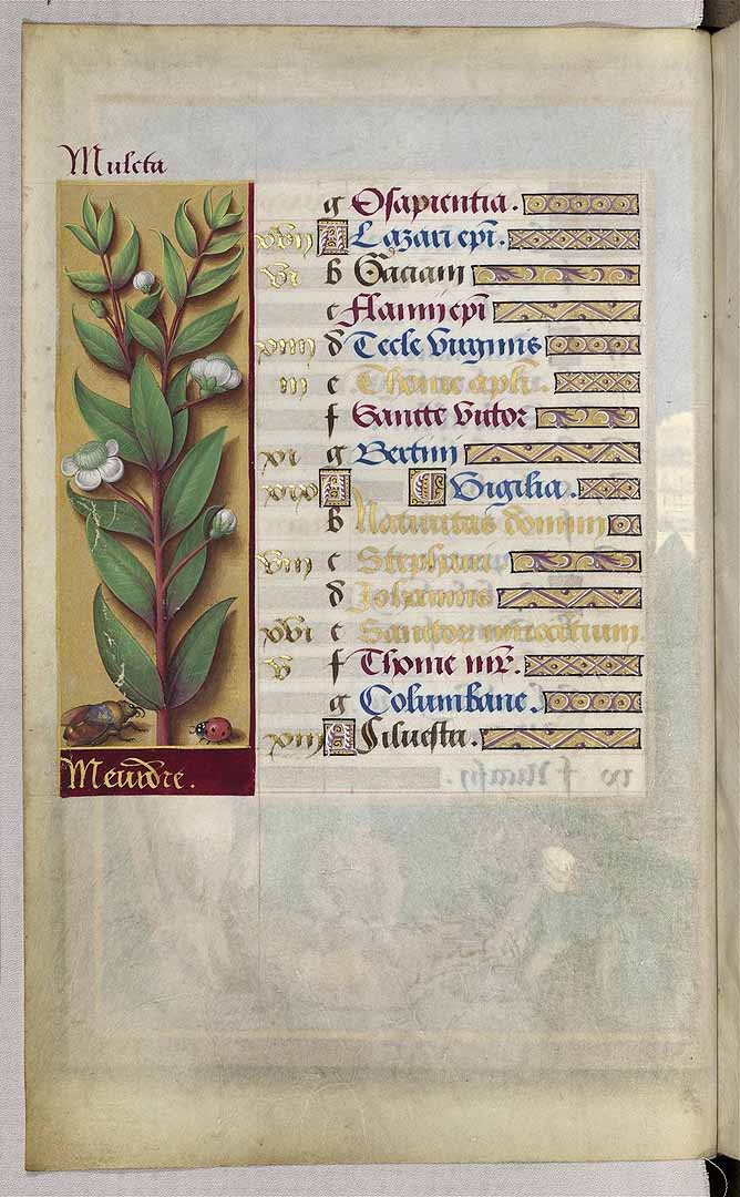 no HD illustration available (3)