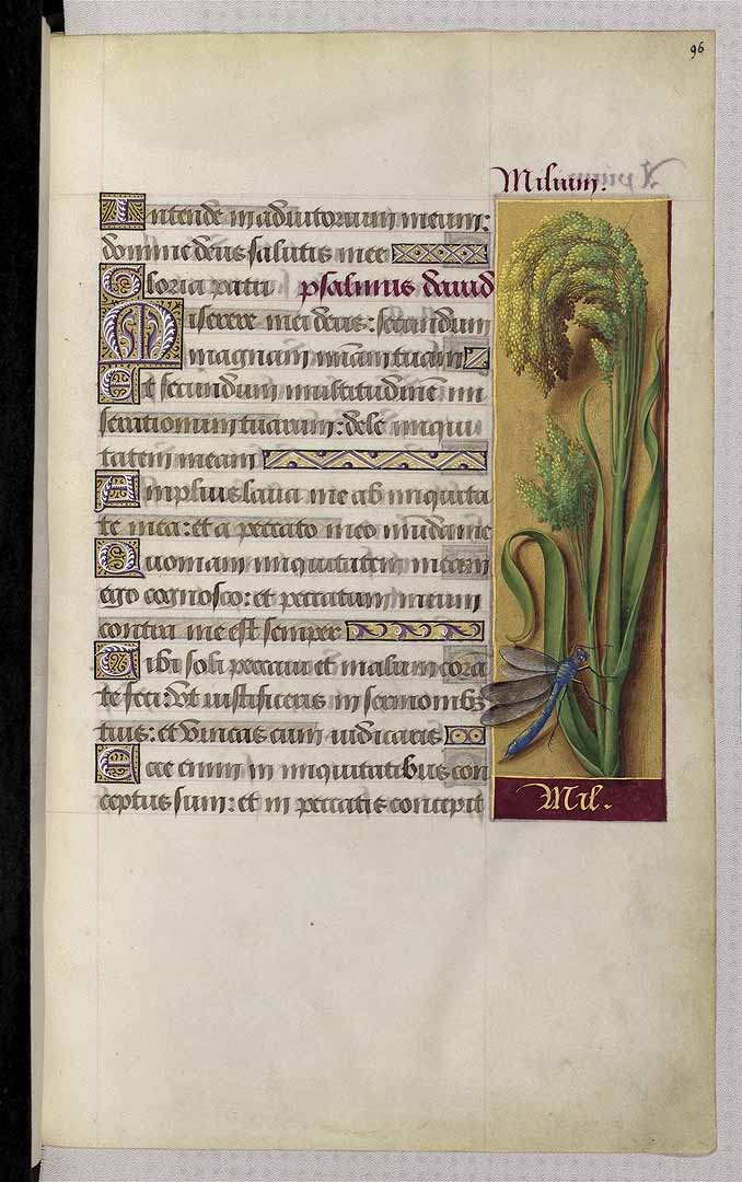 no HD illustration available (3)