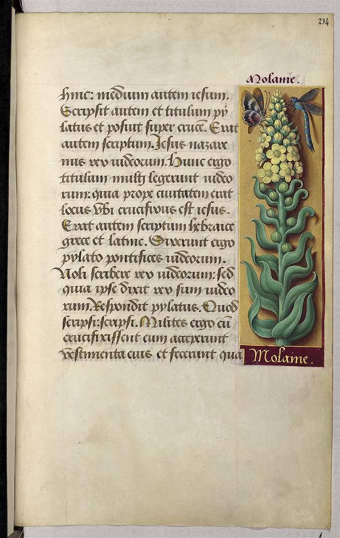 no HD illustration available (3)