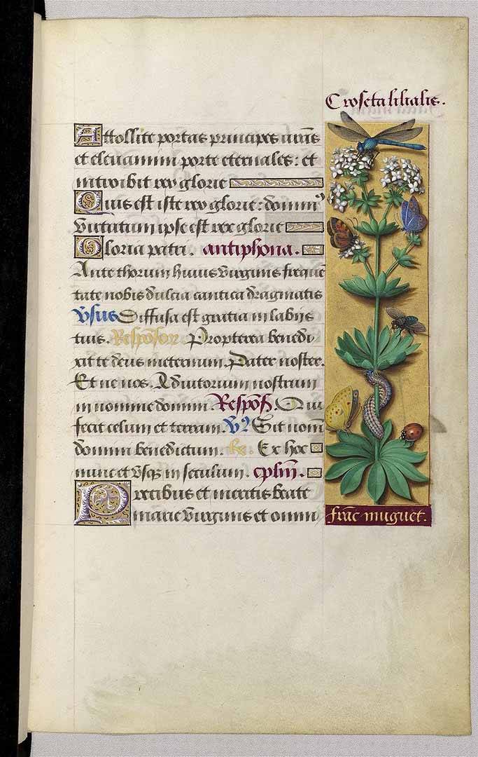 no HD illustration available (3)