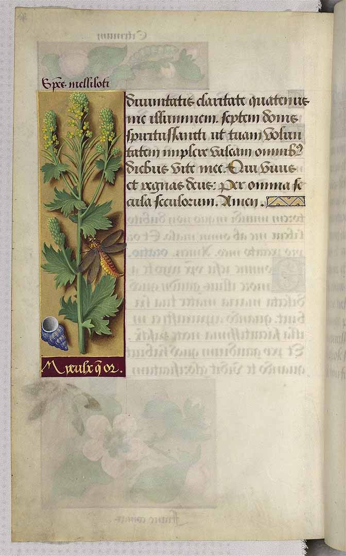 no HD illustration available (3)