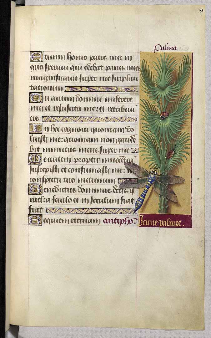 no HD illustration available (3)