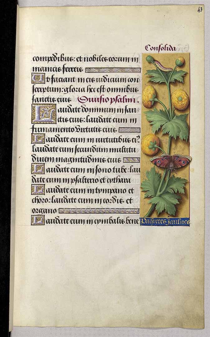 no HD illustration available (3)