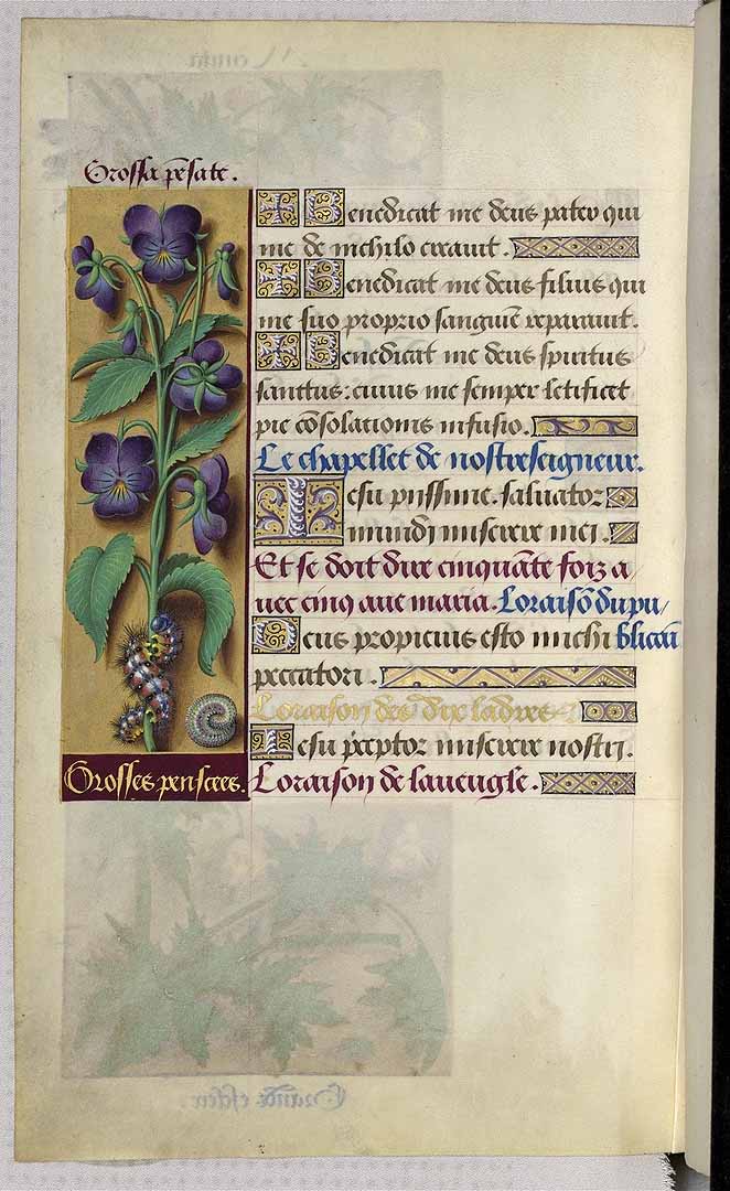 no HD illustration available (3)