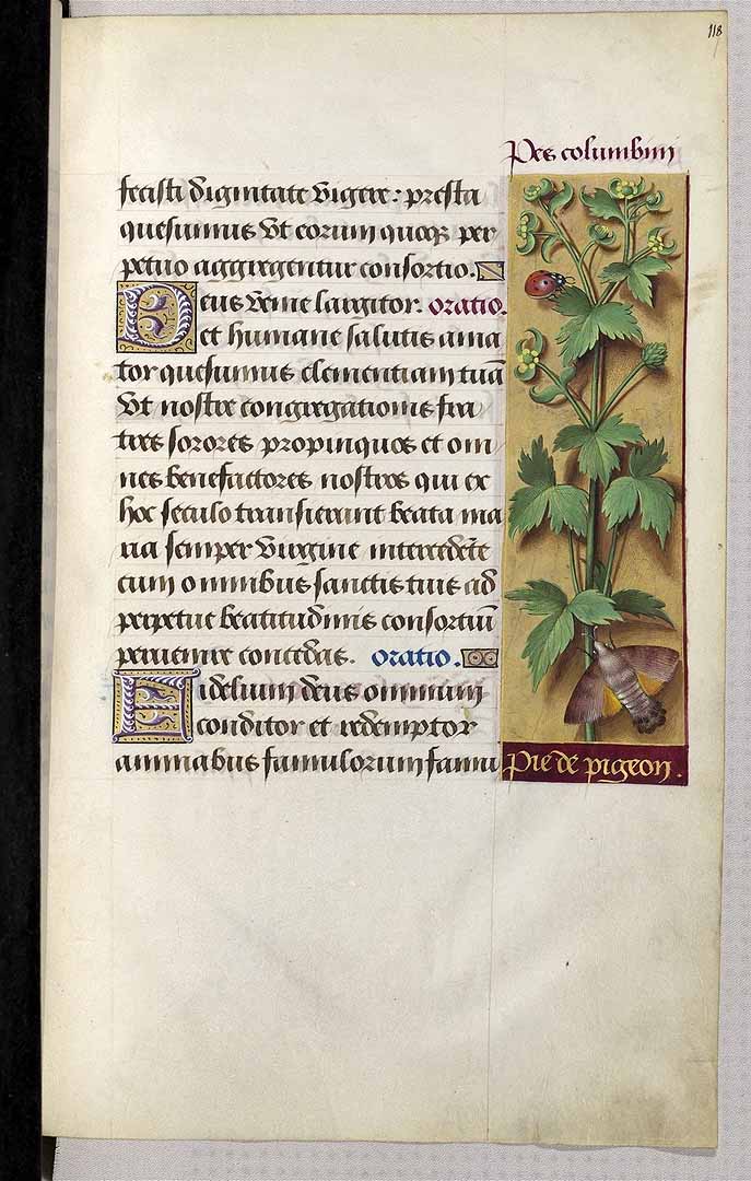 no HD illustration available (3)