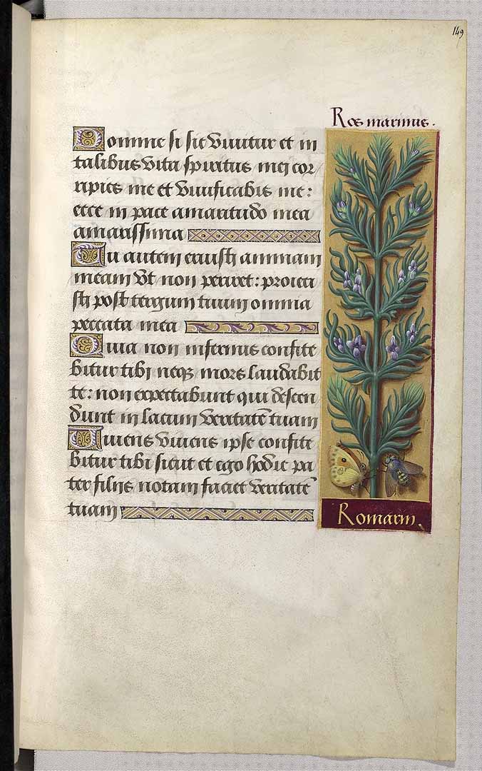 no HD illustration available (3)