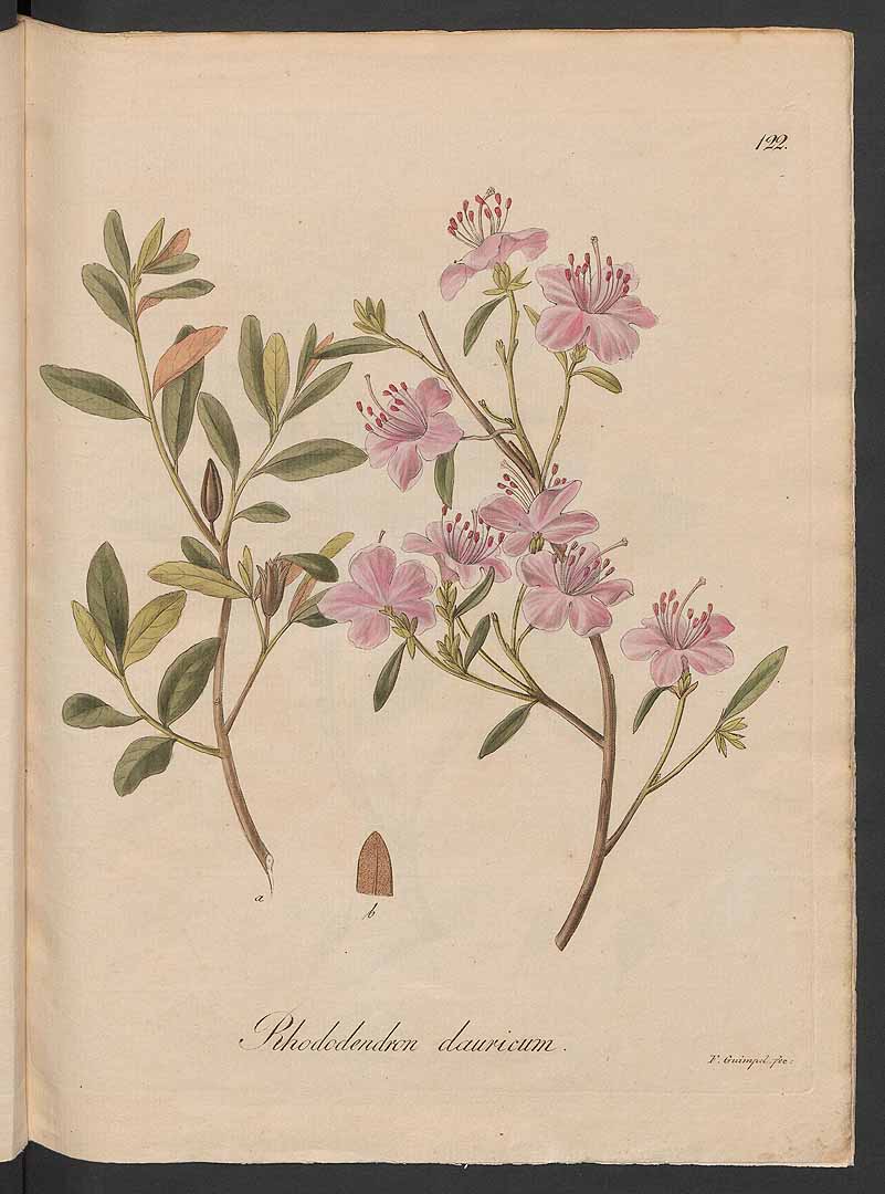 no HD illustration available (3)