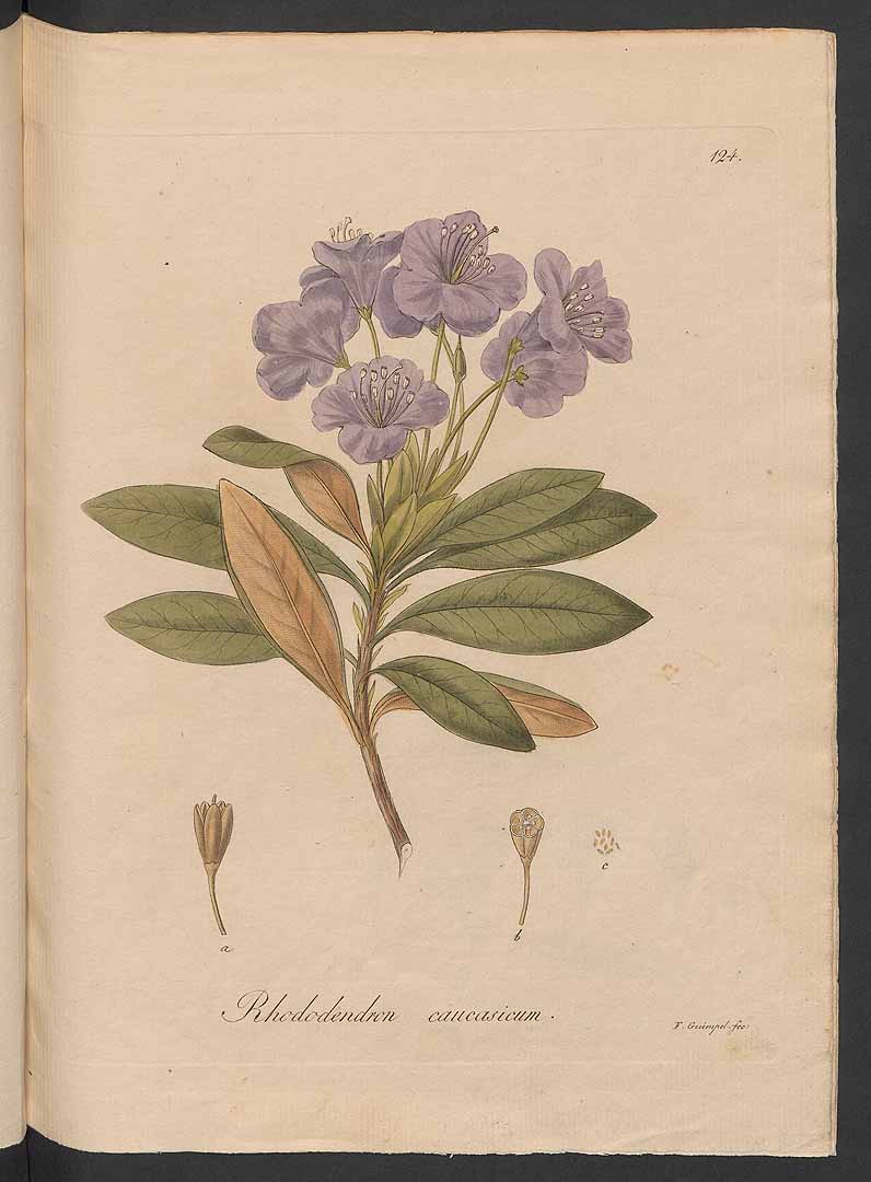 no HD illustration available (3)