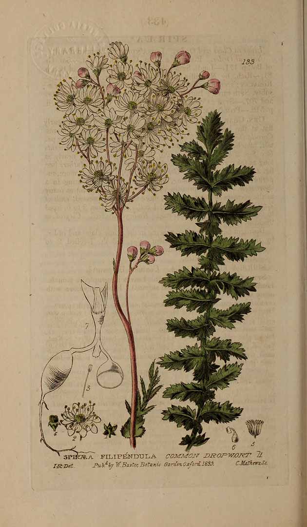 no HD illustration available (3)