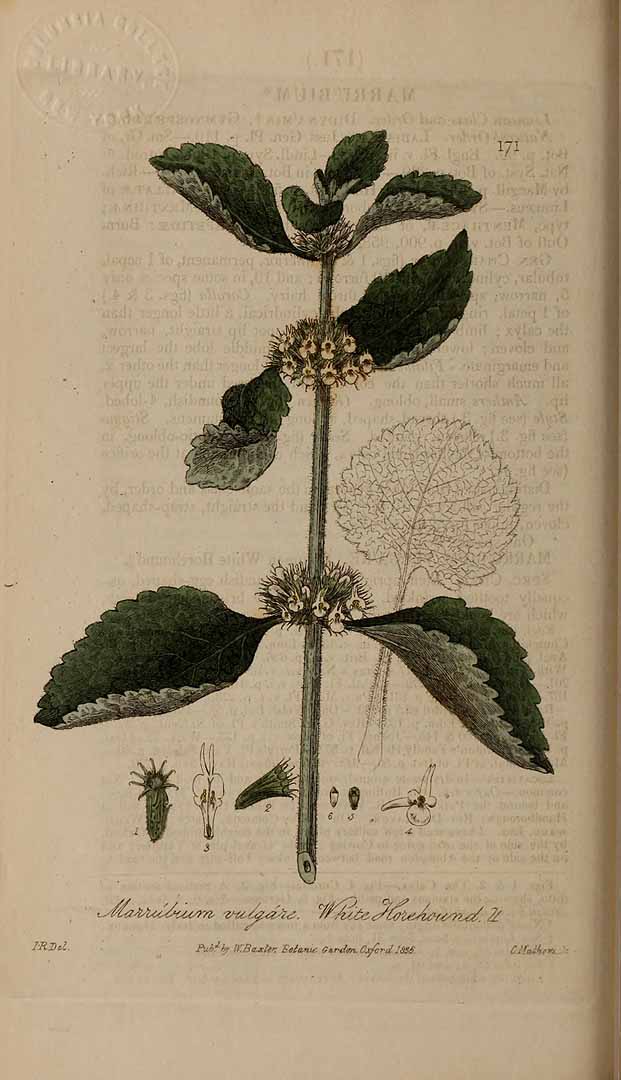 no HD illustration available (3)