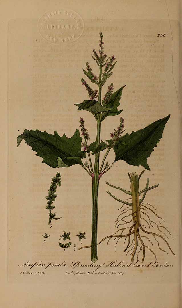 no HD illustration available (3)