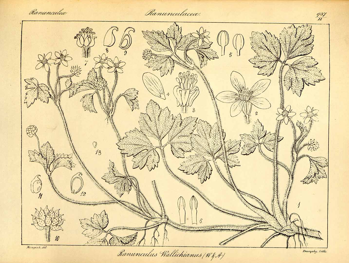 no HD illustration available (3)