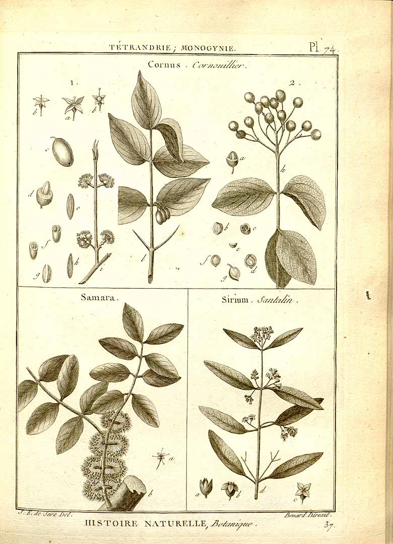 no HD illustration available (3)