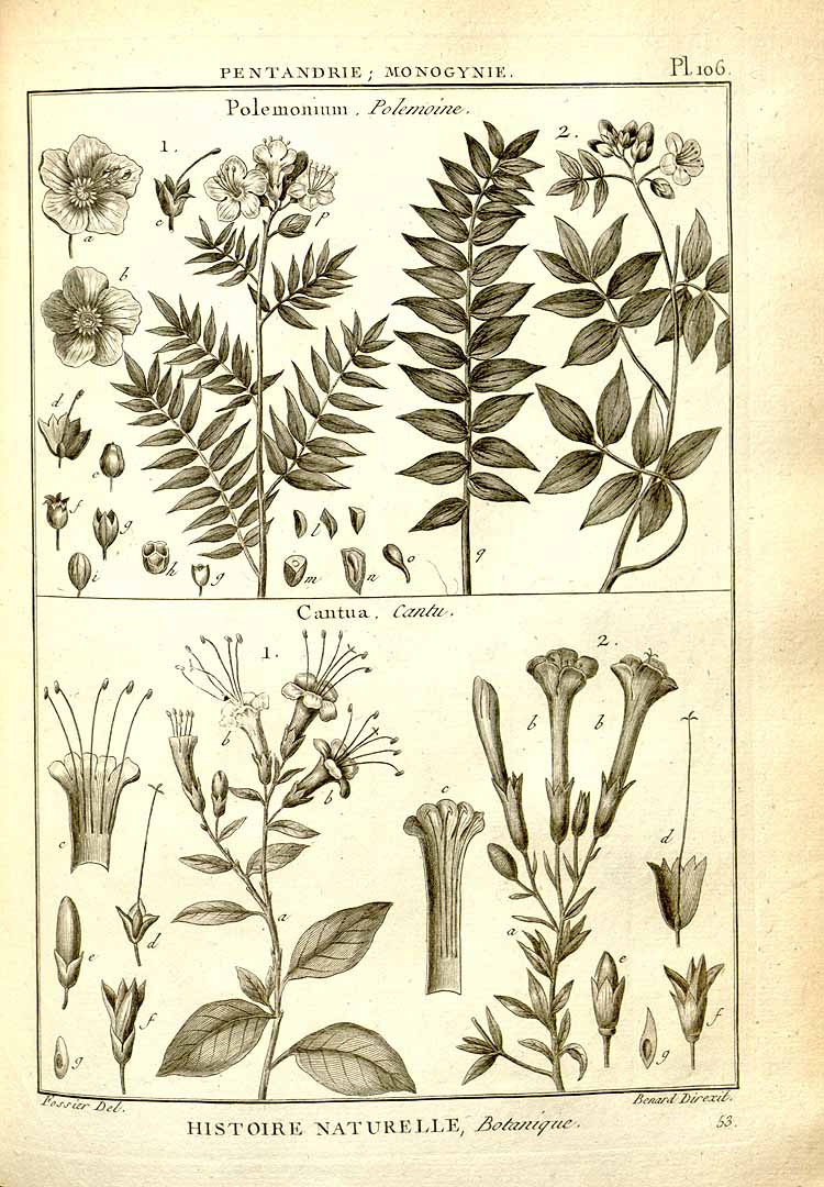 no HD illustration available (3)