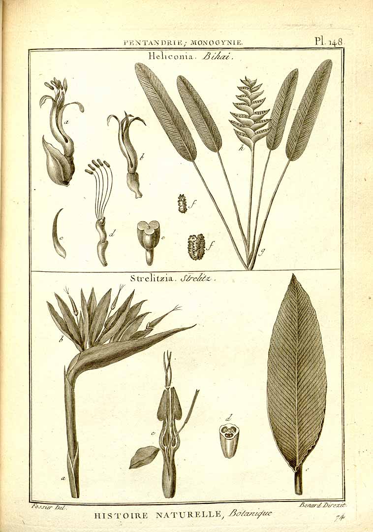 no HD illustration available (3)