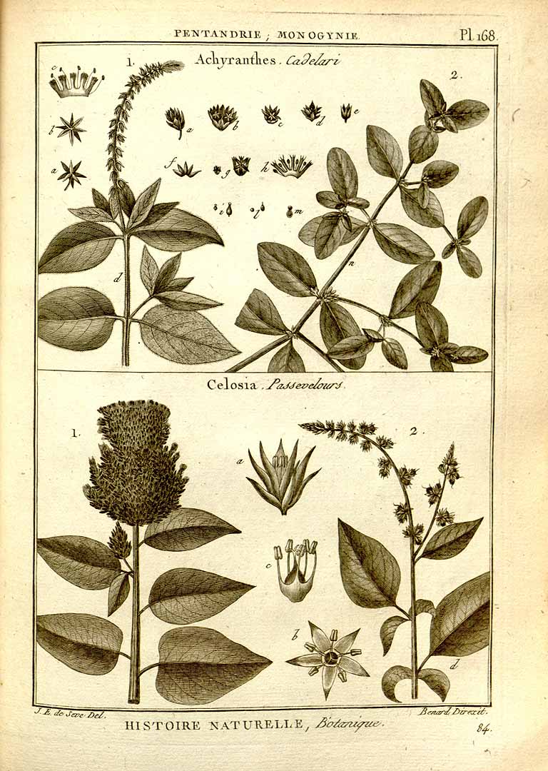 no HD illustration available (3)