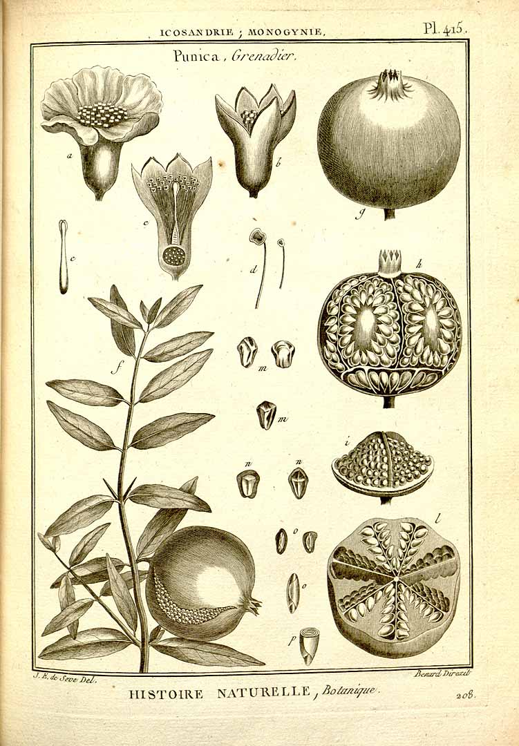 no HD illustration available (3)