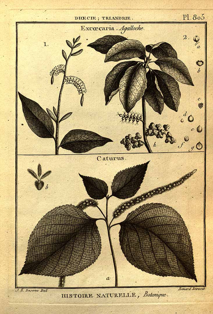 no HD illustration available (3)