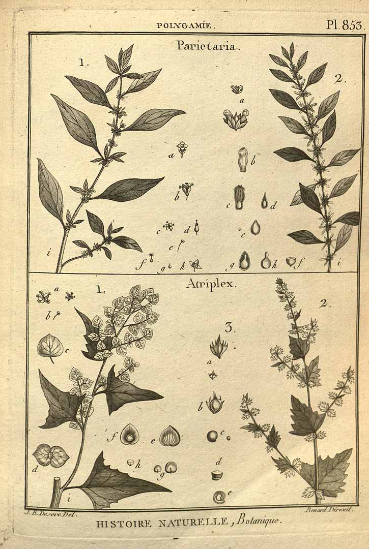 no HD illustration available (3)