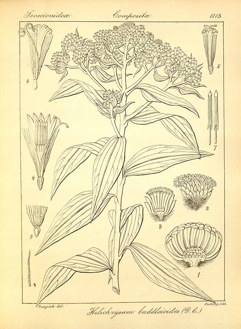 no HD illustration available (3)