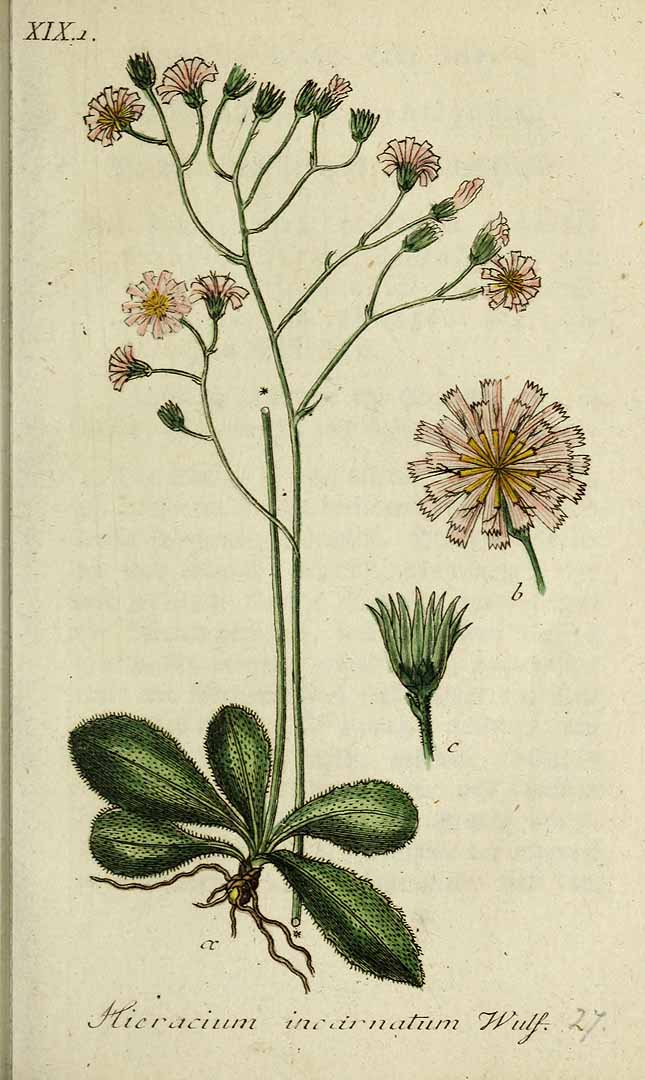 no HD illustration available (3)