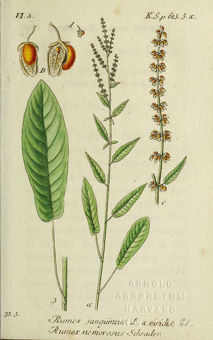 no HD illustration available (3)