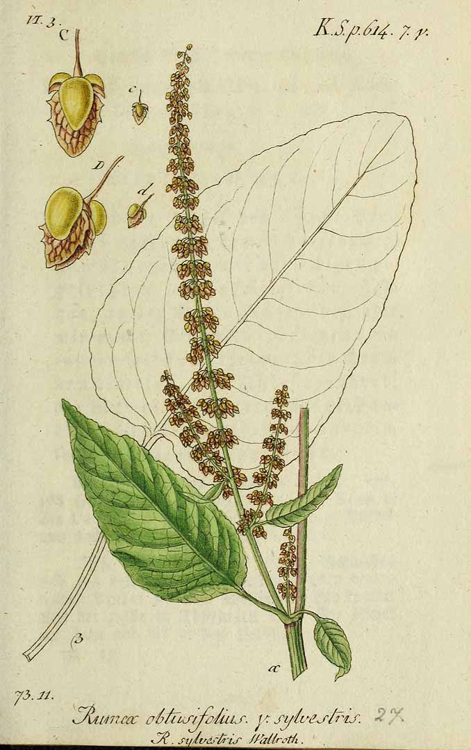 no HD illustration available (3)