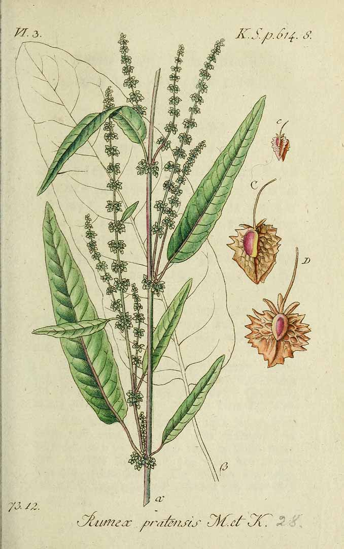 no HD illustration available (3)