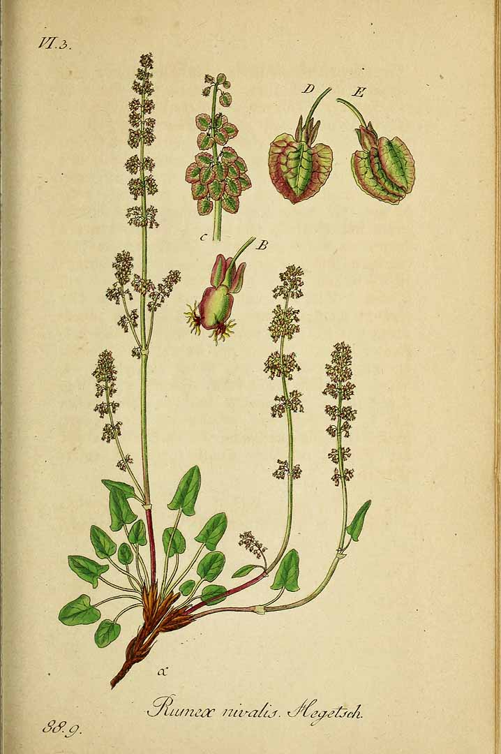 no HD illustration available (3)