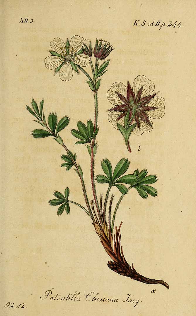 no HD illustration available (3)