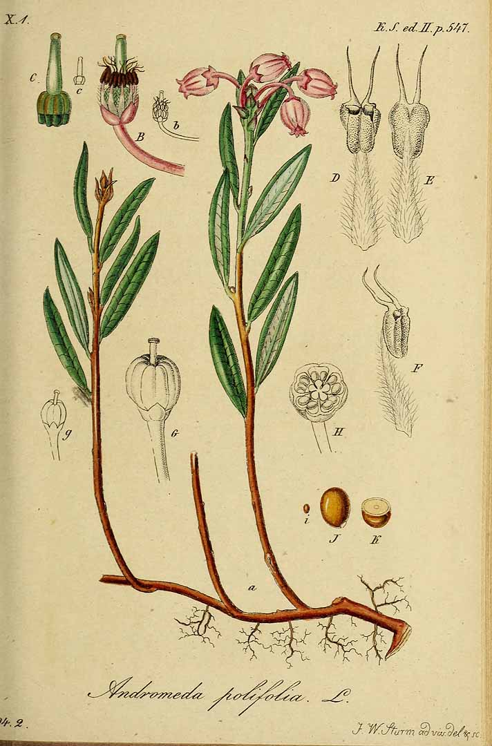 no HD illustration available (3)