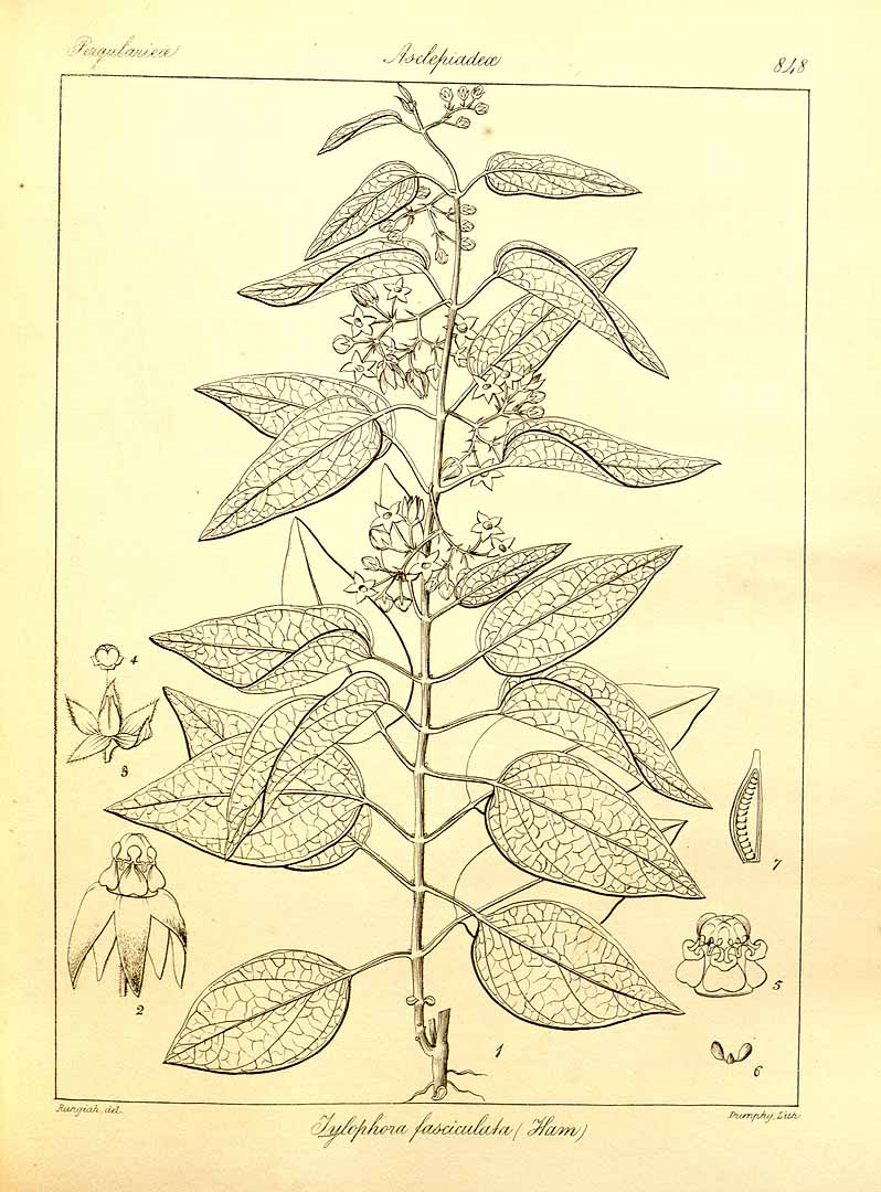 no HD illustration available (3)