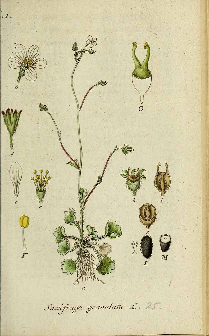 no HD illustration available (3)