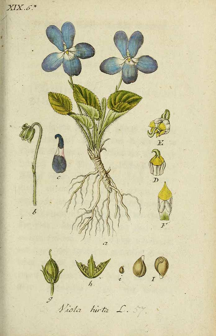 no HD illustration available (3)