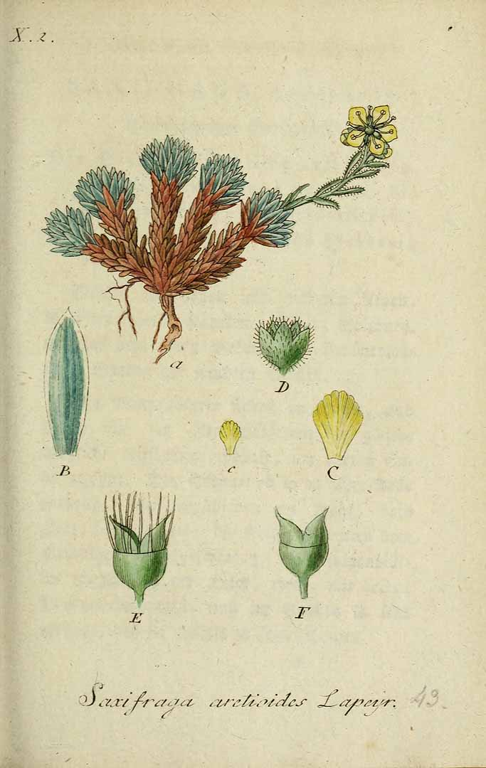 no HD illustration available (3)