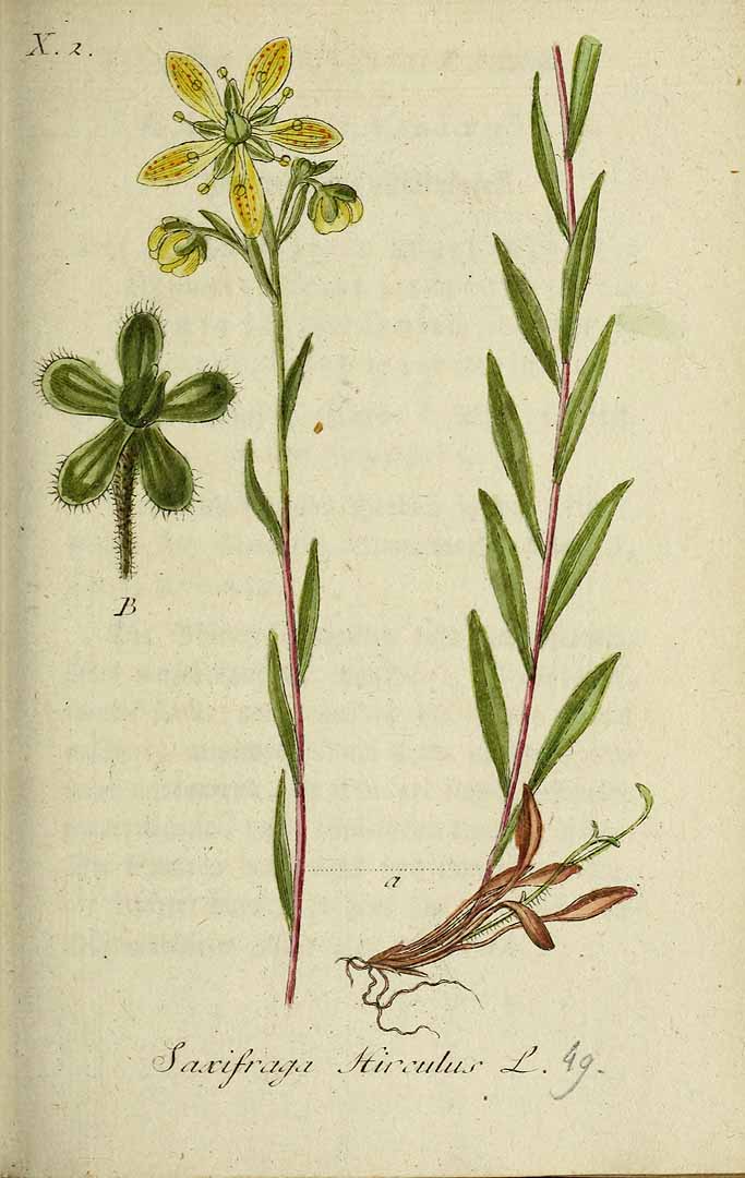 no HD illustration available (3)