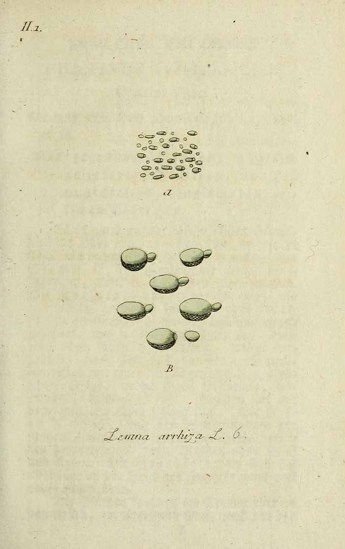 no HD illustration available (3)