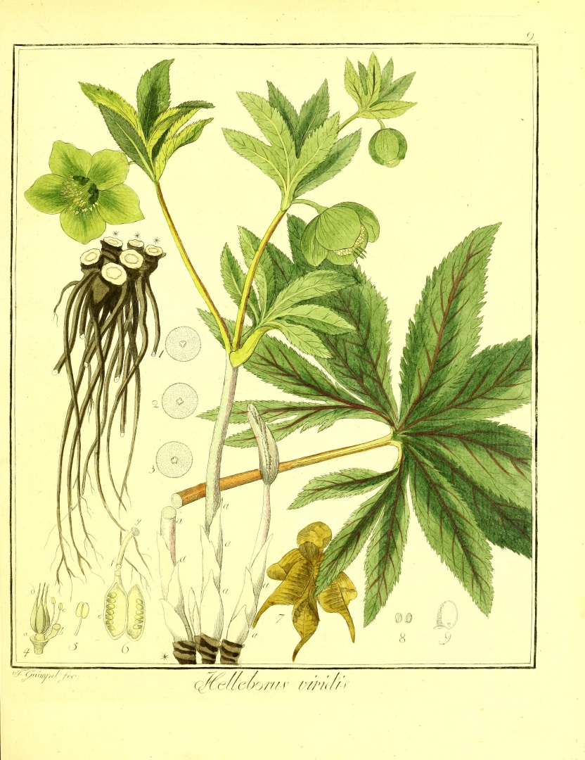 no HD illustration available (3)