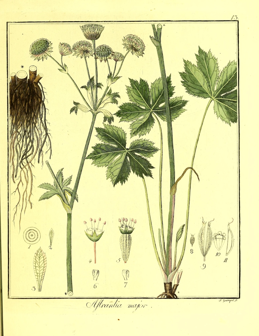 no HD illustration available (3)