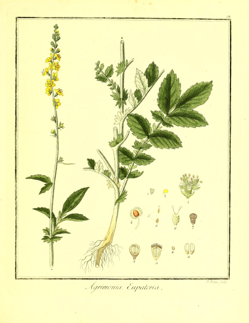 no HD illustration available (3)