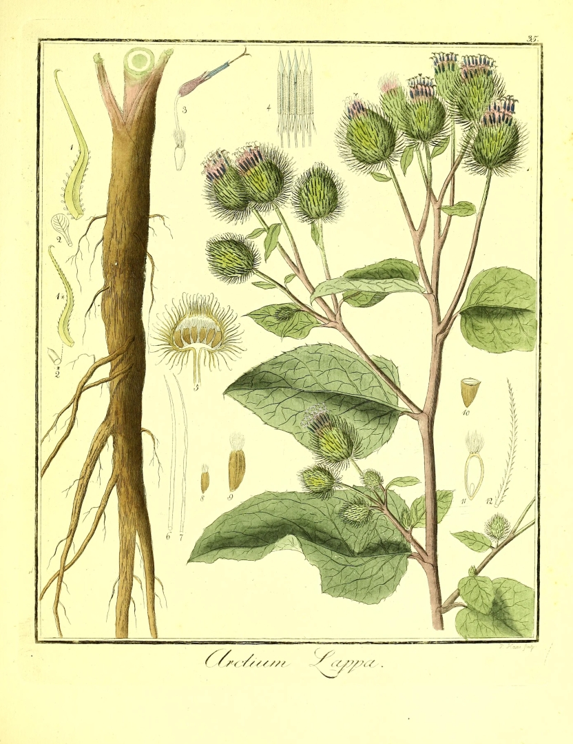 no HD illustration available (3)