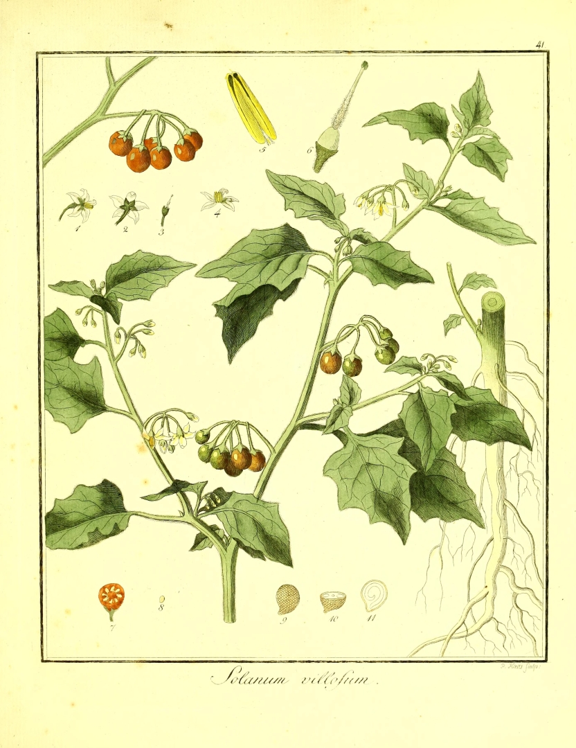 no HD illustration available (3)