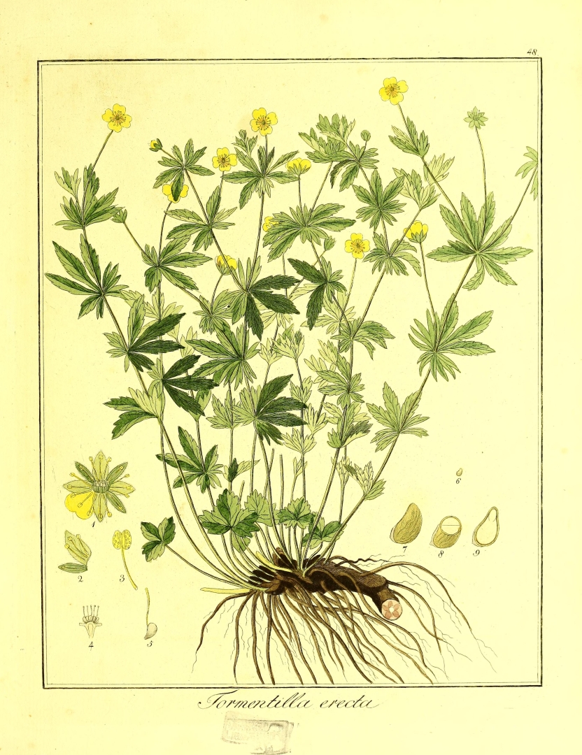 no HD illustration available (3)