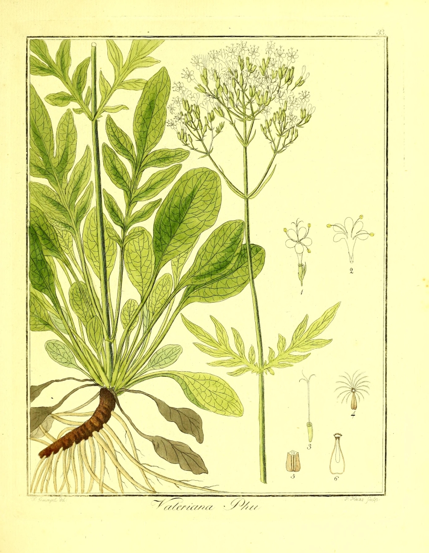 no HD illustration available (3)