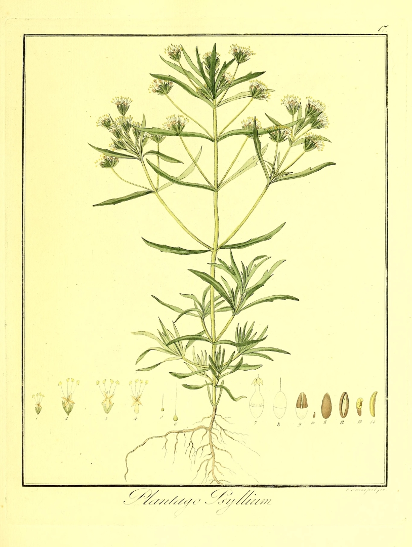 no HD illustration available (3)