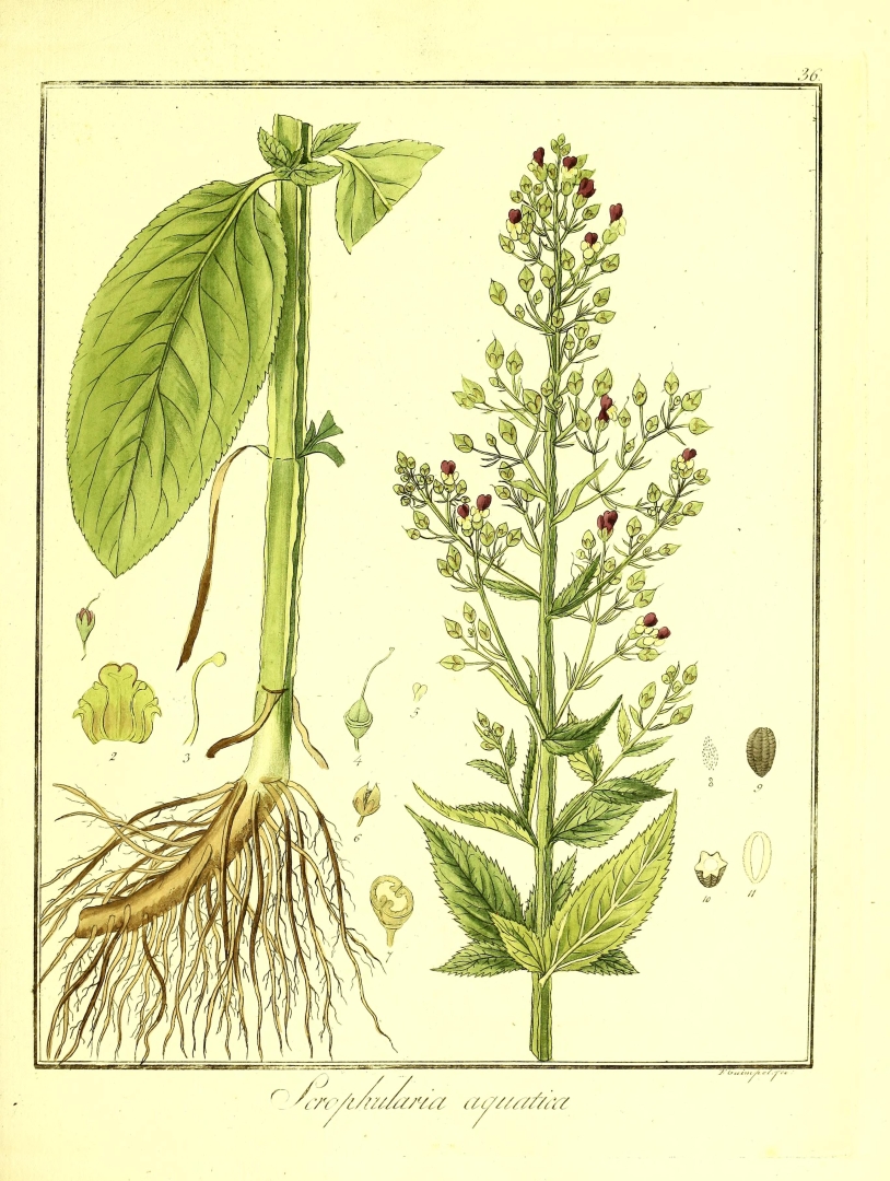 no HD illustration available (3)