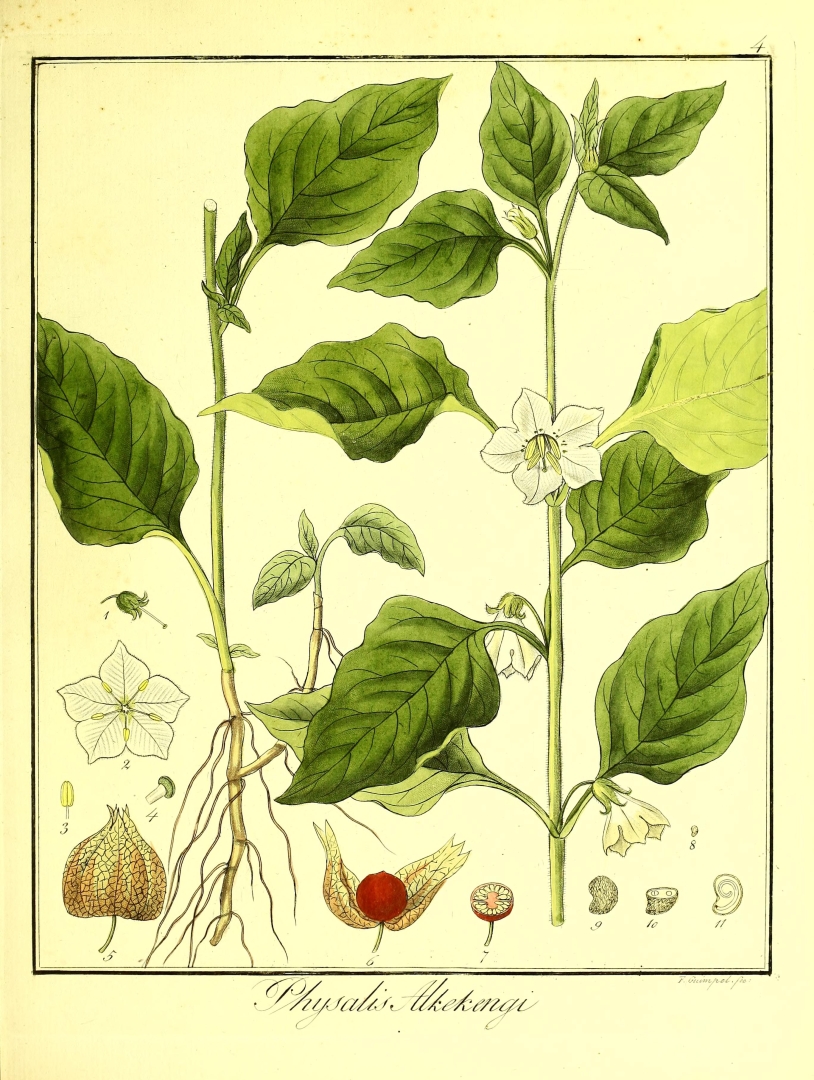 no HD illustration available (3)