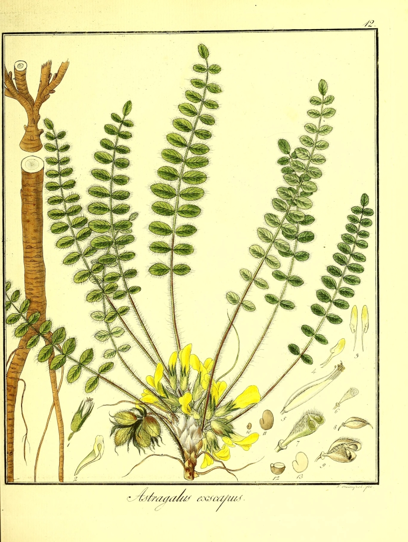 no HD illustration available (3)