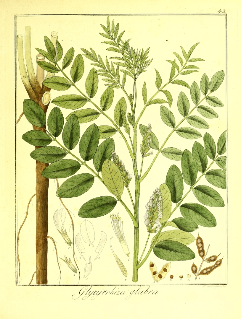 no HD illustration available (3)