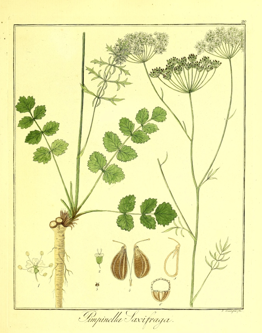 no HD illustration available (3)